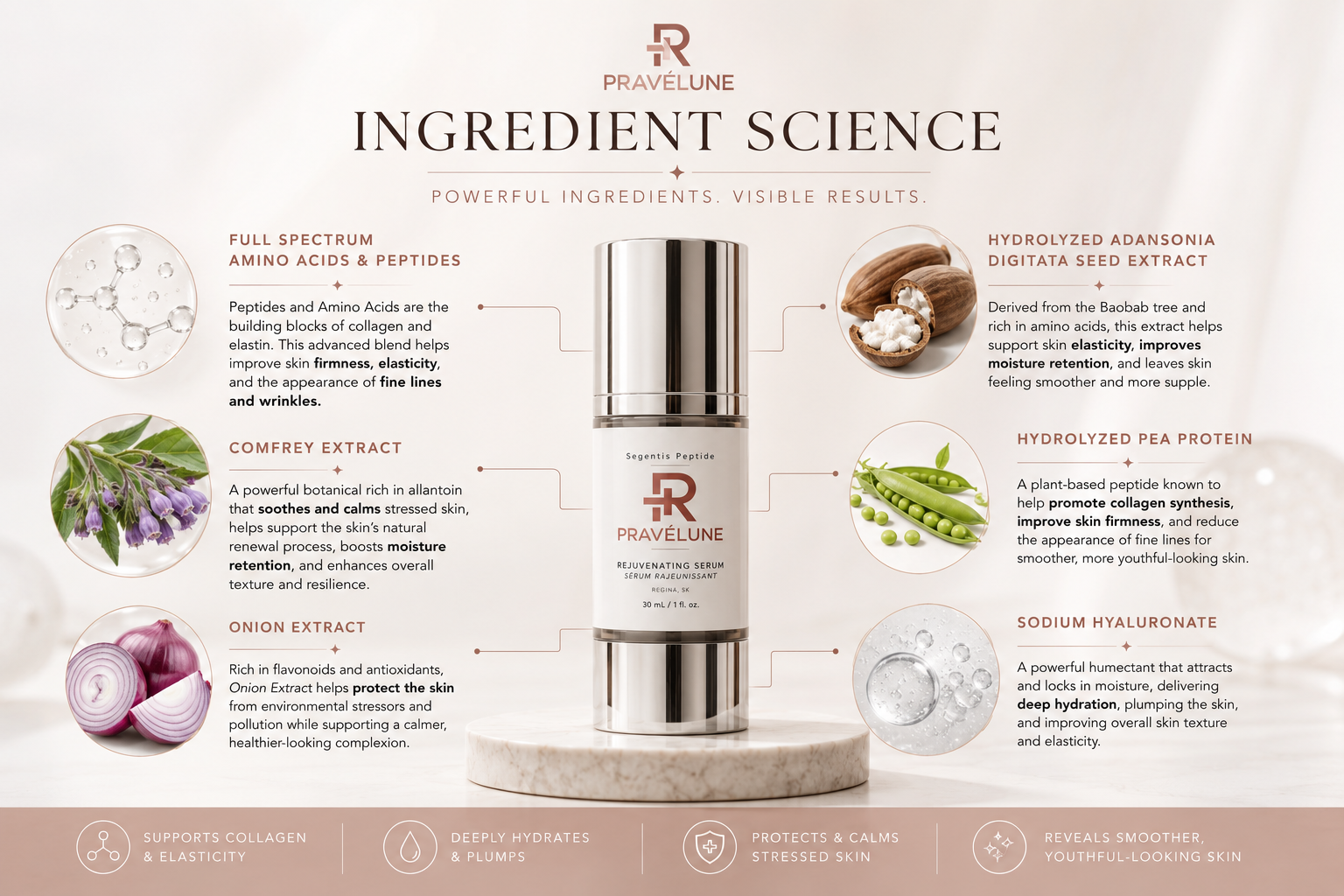 Ingredient science graphic explaining the benefits of hydrolyzed baobab seed extract, hydrolyzed pea protein, sodium hyaluronate, comfrey extract, and onion extract in Pravélune Segentis Peptide.